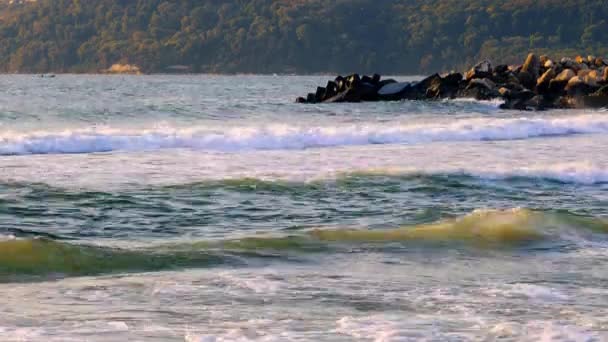 Meereswellen Rollen Auf Küstenstrand — Stockvideo