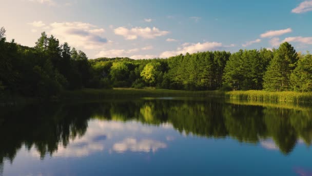 Bergbos Van Groene Bomen Rustig Meer Prachtig Panoramisch Uitzicht — Stockvideo