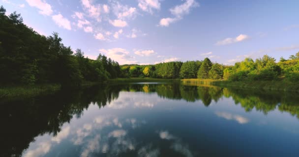 Górski Las Zielonych Drzew Spokojne Jezioro Piękny Widok Panoramiczny — Wideo stockowe