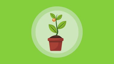 Bitki para yuvarlak sembolü