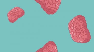 Beyin ve zeka Hd animasyon