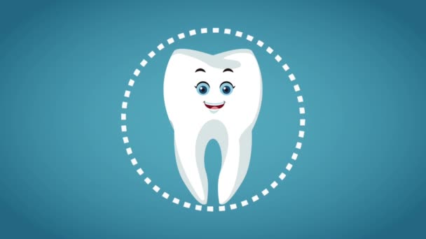 Zuby karikatura a dentální hygienu Hd animace — Stock video