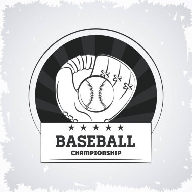 Beyzbol Şampiyonası oyunu