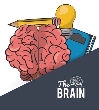 Beyin kavramı