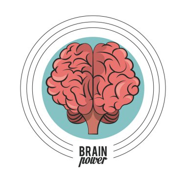 Beyin gücü kavramı