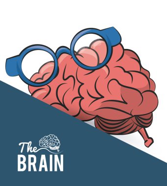 Beyin kavramı