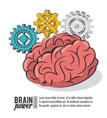 Beyin gücü kavramı