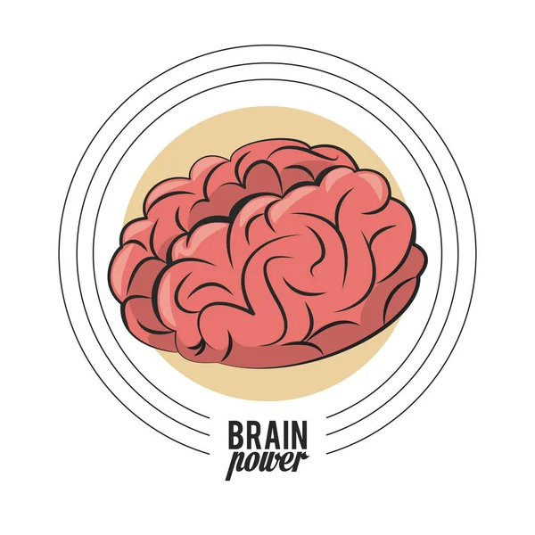 Concepto de poder cerebral — Archivo Imágenes Vectoriales