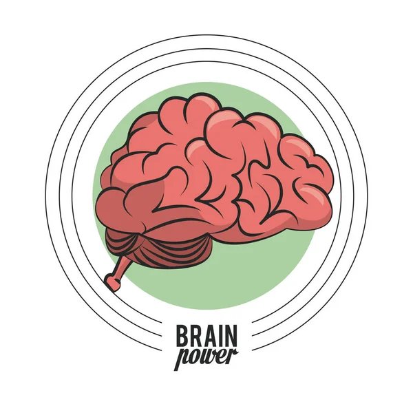 Concepto de poder cerebral — Archivo Imágenes Vectoriales