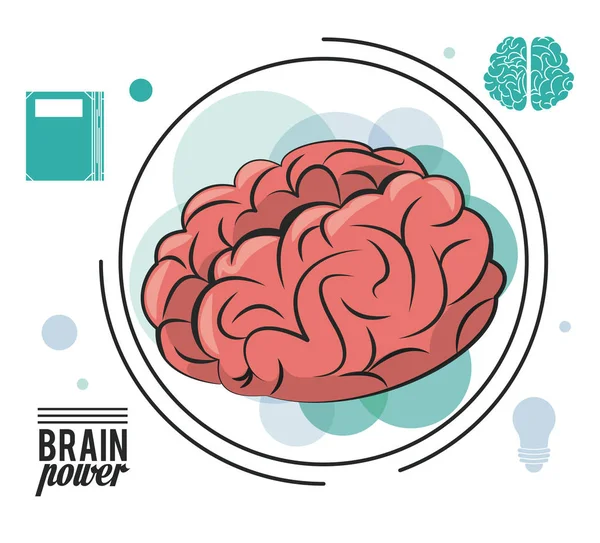 Beyin gücü kavramı