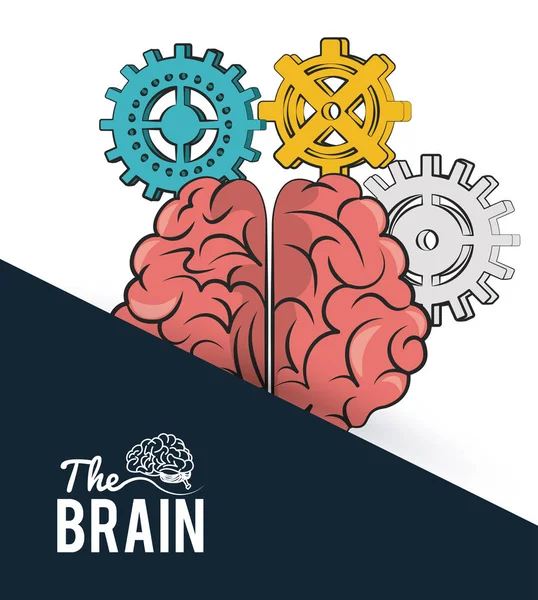 Begreppet hjärnan — Stock vektor