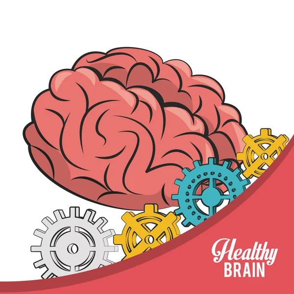 건강 한 뇌 개념 — 스톡 벡터
