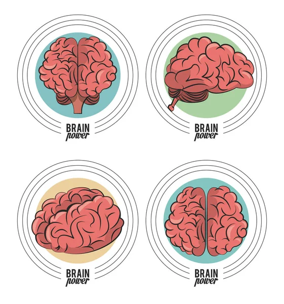 Beyin gücü Amblemler kümesi