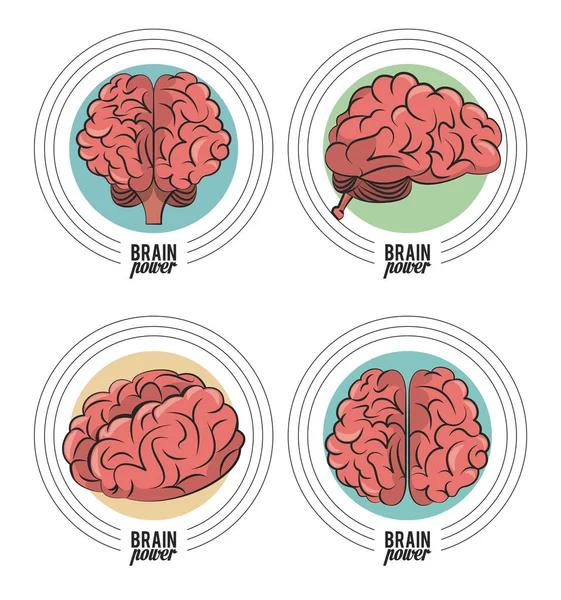 Ensemble d'emblèmes de puissance cérébrale — Image vectorielle