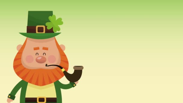 Saint patricks dag elf tecknad Hd animation — Stockvideo