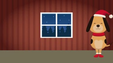 Neşeli Noel sevimli hayvanlar Hd animasyon