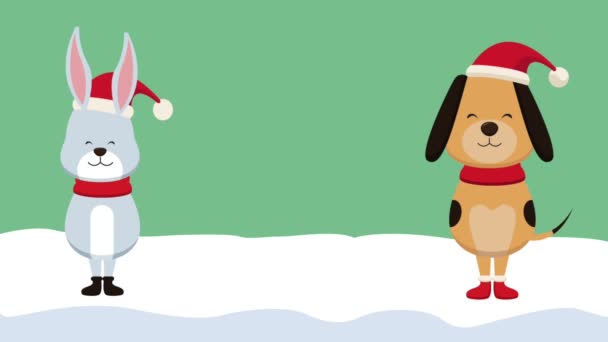 Tarjeta de Navidad y animales lindos HD animación — Vídeo de stock
