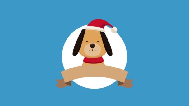 Christmas card and cute animals HD animation — Stock Video