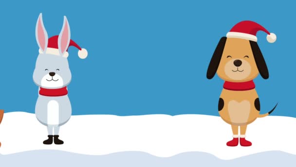 Christmas card and cute animals HD animation — Stock Video