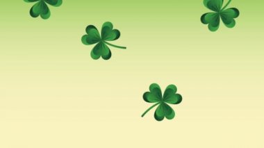 Yonca düşen st patricks günü Hd animasyon