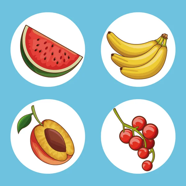 Ensemble d'icônes rondes de fruits — Image vectorielle