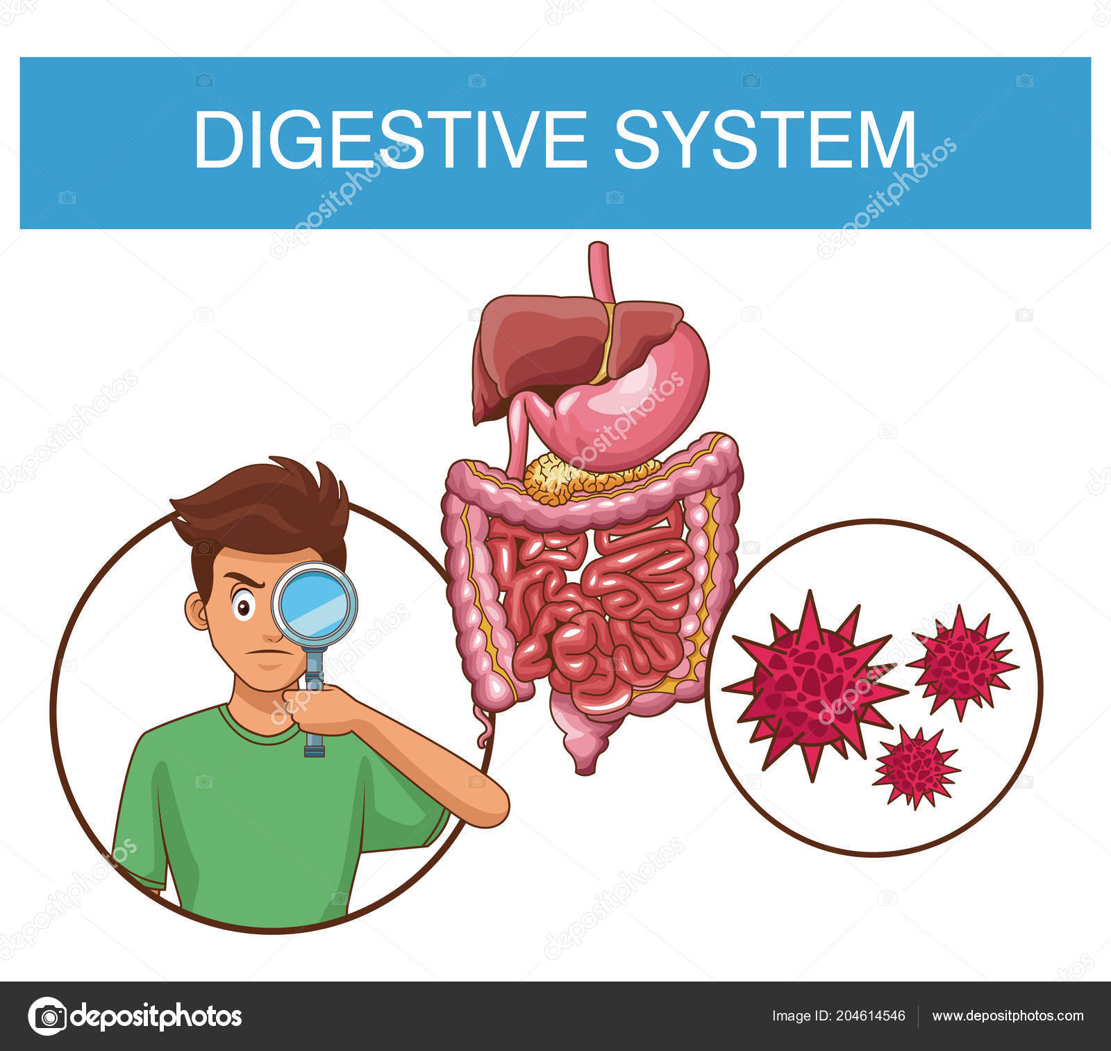 Conceito do sistema digestivo Vetor de ©jemastock 204614546, image size:1600x1513