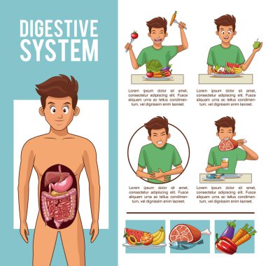 Sindirim sistemi Infographic