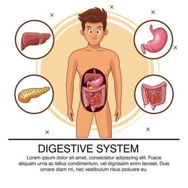 Sindirim sistemi Infographic