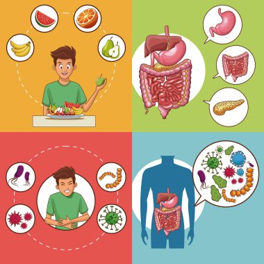 Sindirim sistemi kart dizisini