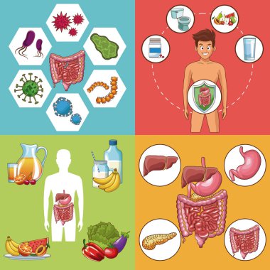 Sindirim sistemi kart dizisini