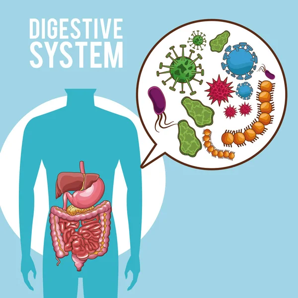 Cartel del sistema digestivo — Vector de stock