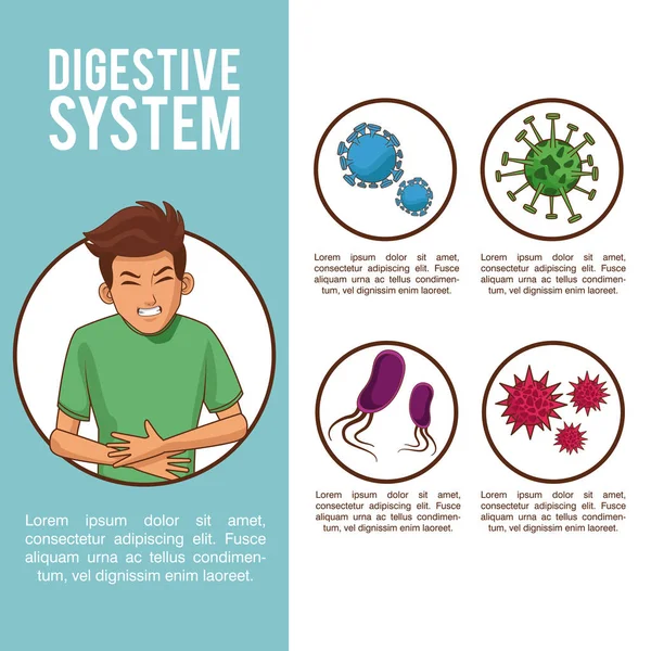 Infográfico do sistema digestivo —  Vetores de Stock