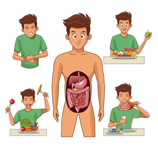 Dibujos animados del sistema digestivo — Archivo Imágenes Vectoriales