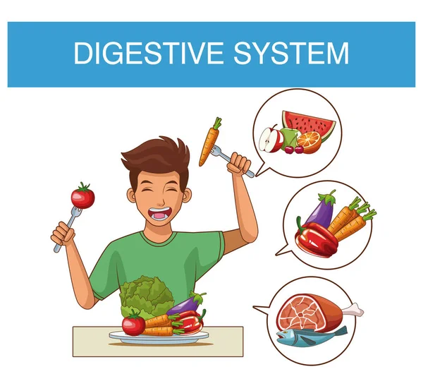 Concepto del sistema digestivo — Vector de stock