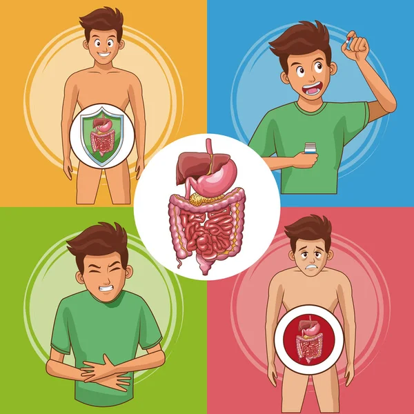 Set di schede di sistema digestivo — Vettoriale Stock