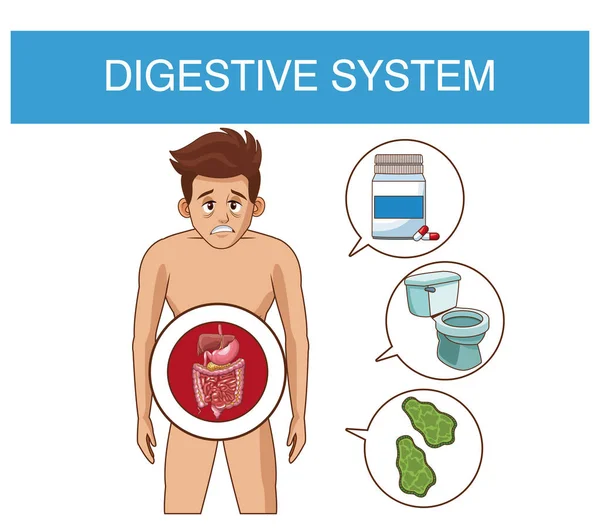 Концепция пищеварительной системы — стоковый вектор