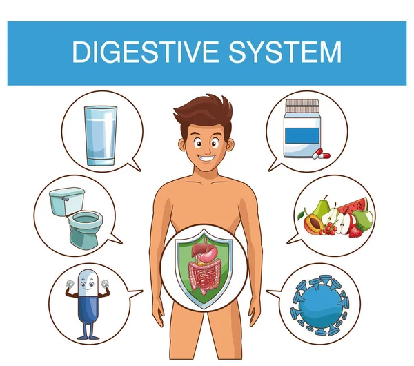 Conceito do sistema digestivo —  Vetores de Stock