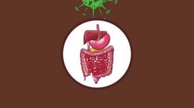 Mide ağrısı Hd animasyon ile sindirim sistemi