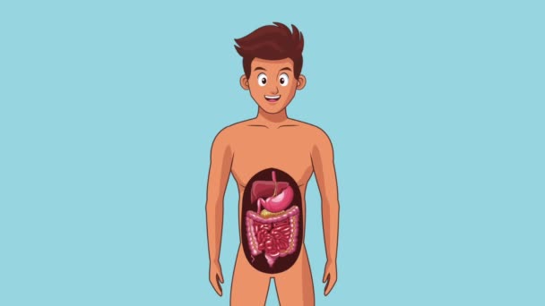 Hombre sistema digestivo HD animación — Vídeos de Stock