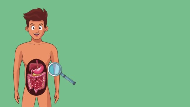 Man digestive system HD animation — Stock Video