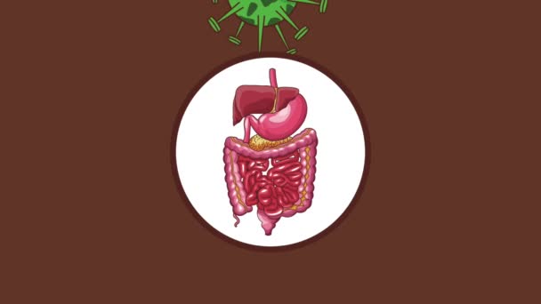 Digestive system with stomach ache HD animation — Stock Video