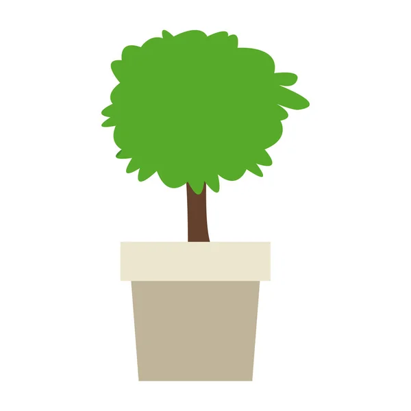 Plant in pot — Stockvector