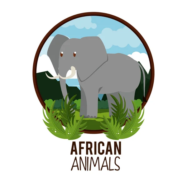 非洲动物卡通 — 图库矢量图片