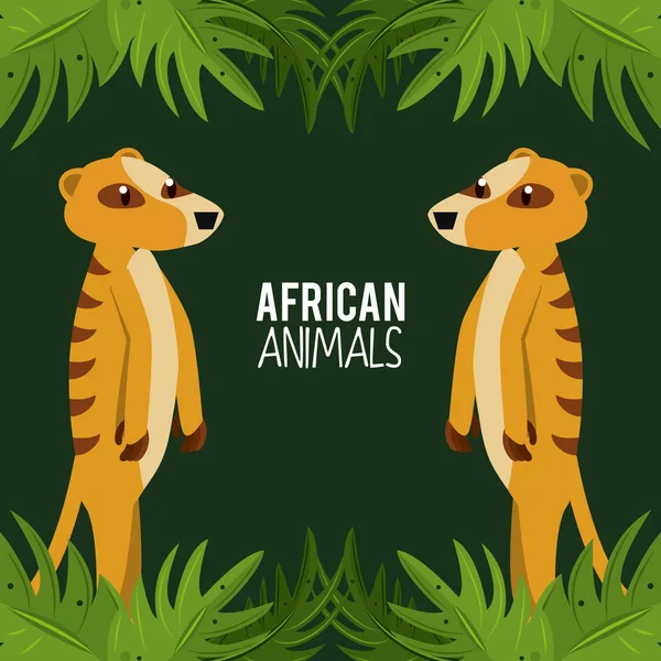 Afrika Hayvanlar Karikatür