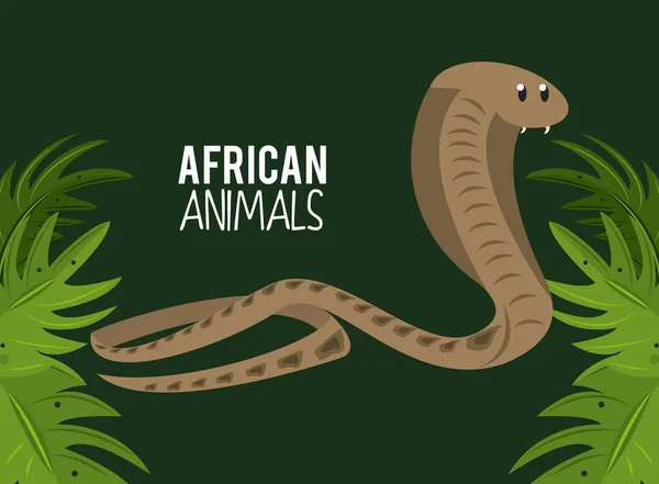 Africká zvířata kreslená — Stockový vektor