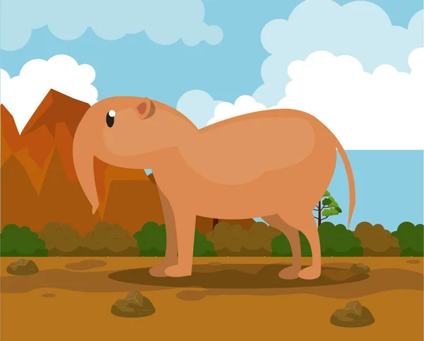 Afrikaanse dieren cartoons — Stockvector