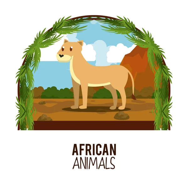 Africká zvířata kreslené — Stockový vektor