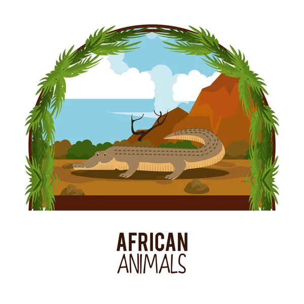 African animals cartoons — Stock Vector