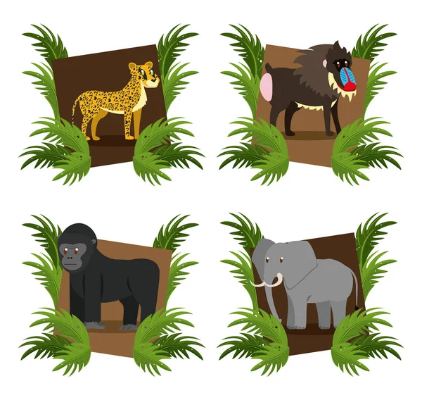 Σύνολο των άγριων ζώων της Αφρικής — Διανυσματικό Αρχείο