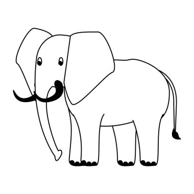 Siyah beyaz fil vahşi hayvan